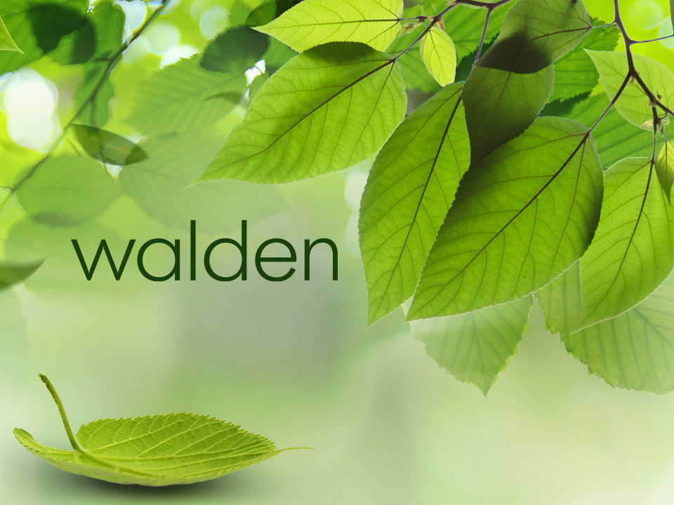 Walden
